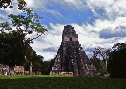 GUATEMALA: Il tempio 'I' o del Grande giaguaro di Tikal